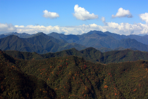 大相岭—泥巴山观光景区