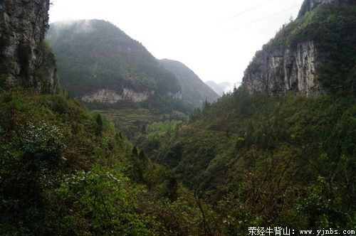 牛背山游记