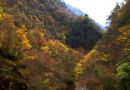 牛背山——给将去未去的人